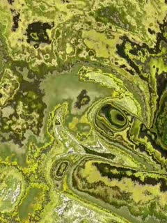 TikTok: matcha trending #matchatrending #makeitviral